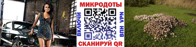 Галлюциногенные грибы ЛСД  Архангельск 